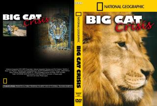 NG-BIG CAT CRISIS.pdf