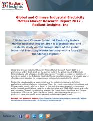 Global and Chinese Industrial Electricity Meters Market Research Report 2017 - Radiant Insights.pdf