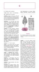 dictionnaire de geologie.pdf